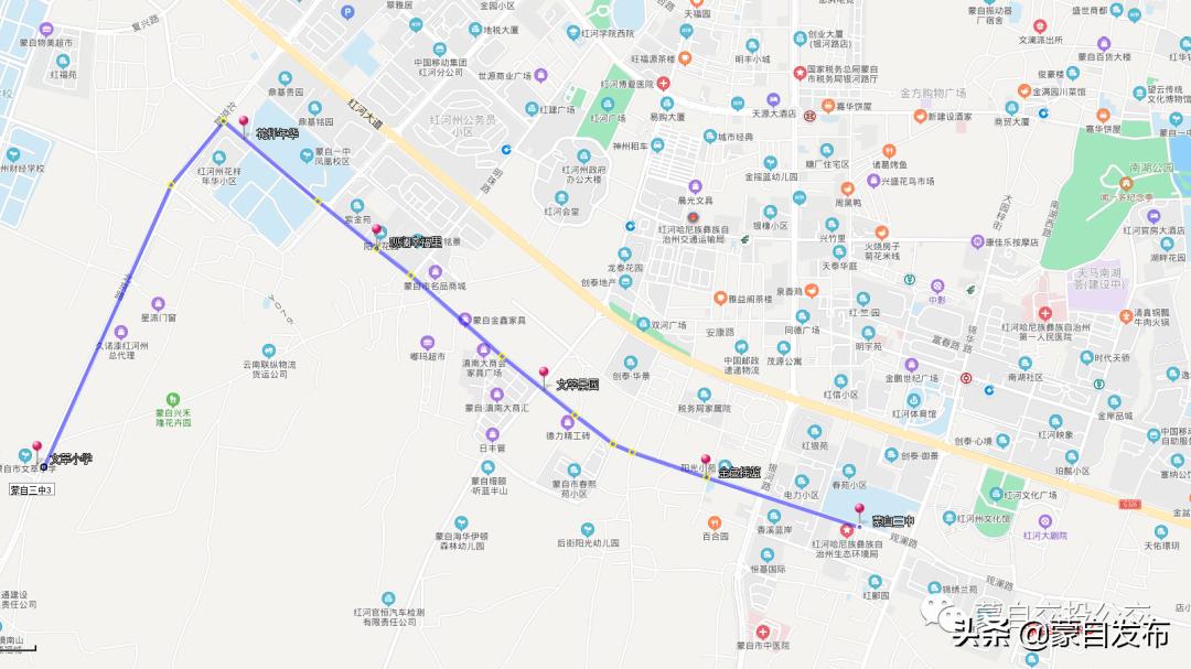 蒙自公交卡怎么充值,蒙自公交卡办理学生专线有大变化
