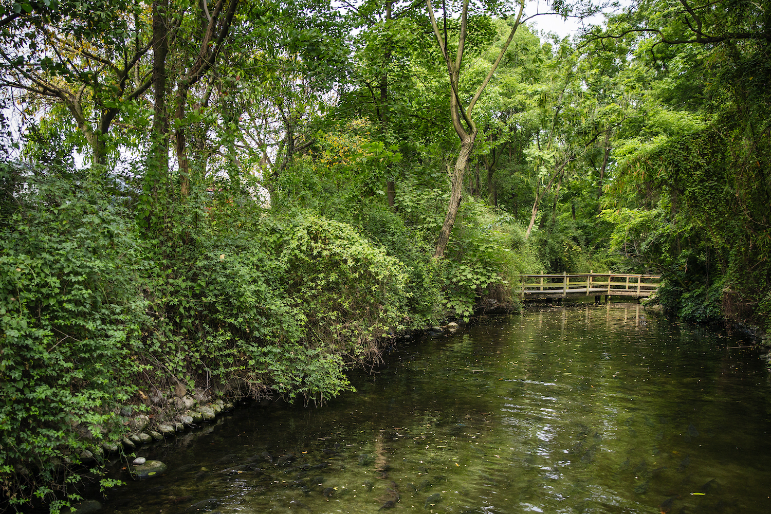 四川蓝剑饮品集团上市,四川蓝剑饮品集团营业额