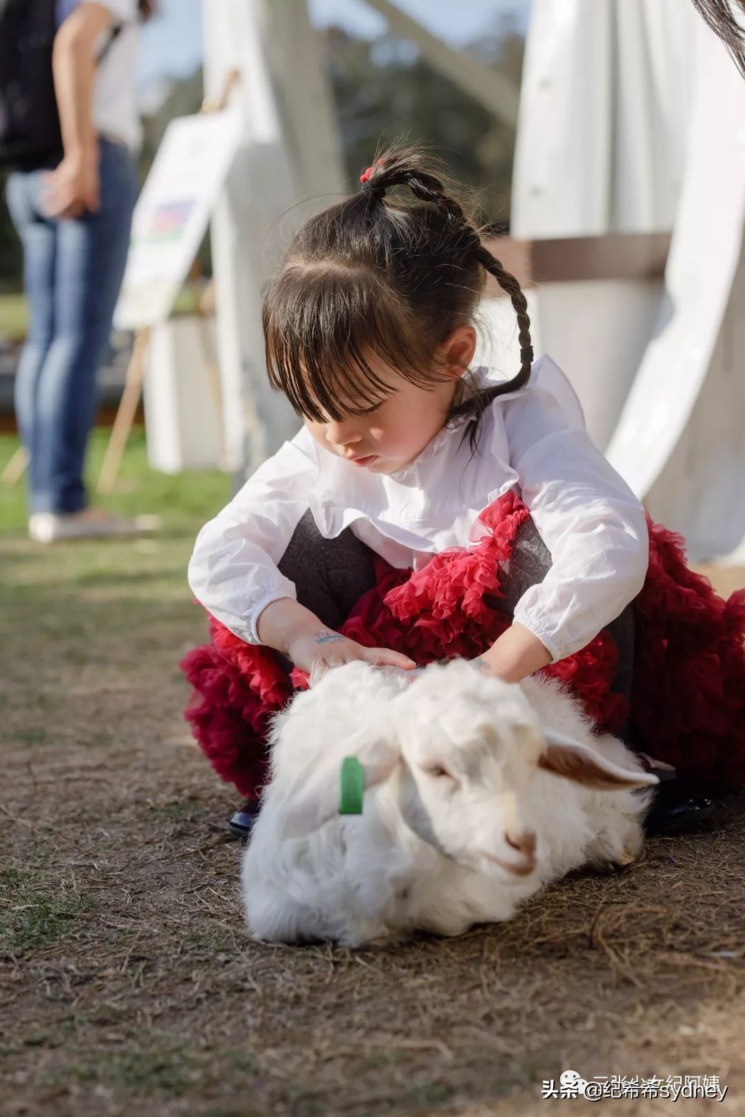 可瑞康奶粉澳洲价格,可瑞康代购奶粉澳洲