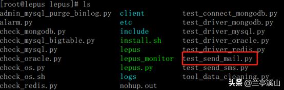 lepus怎么读,lepus什么意思