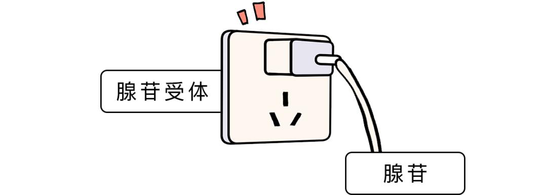 究竟怎样才能早起不困啊,怎么才能早起不困啊