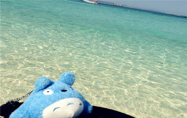 芭提雅大象园和大象村营业时间,泰国芭提雅大象园一日游