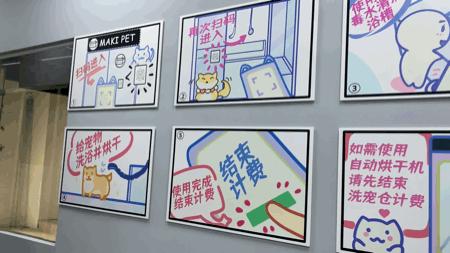 上海自助洗宠,上海宠物自助洗宠