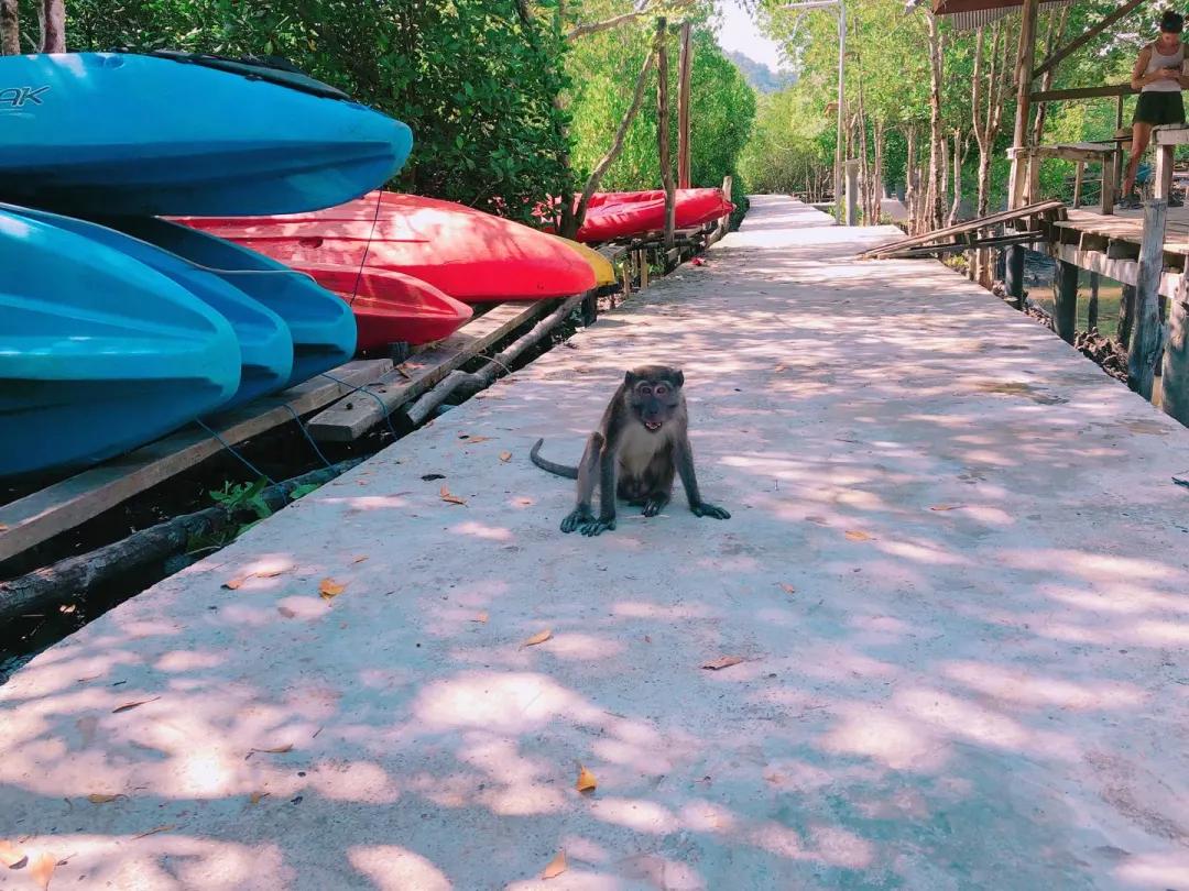 泰国自由行甲米,甲米8日自由行行程