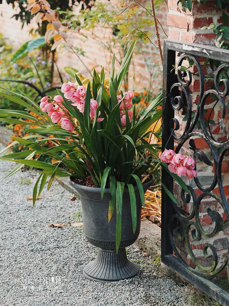 过年家里必摆的九道菜,过年家里摆的喜庆的物件