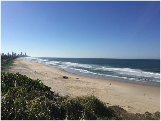 迈阿密海滩高级感泳装身材,经验心得分享篇