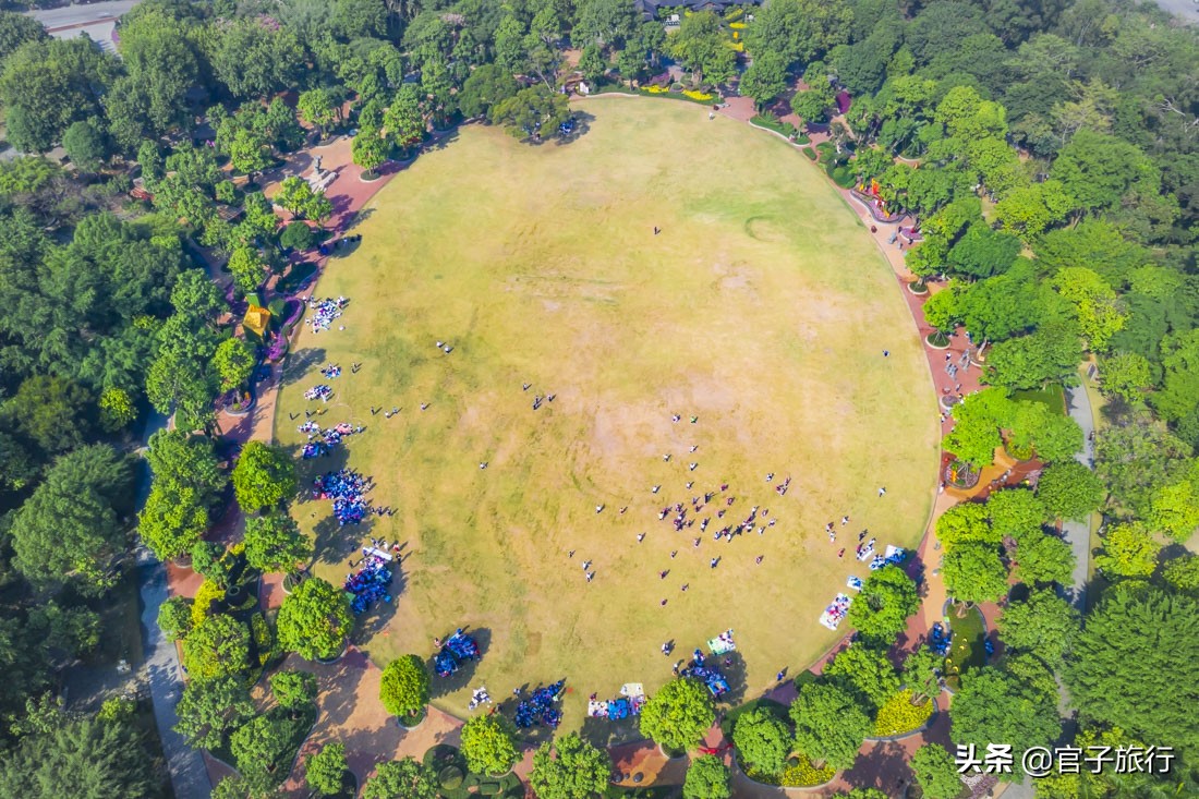 再游青秀山，看“熊猫级”国宝苏铁王，只为千年等一回的告别