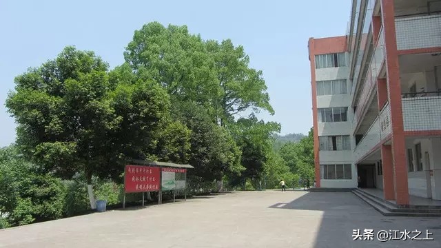 乐山市县高考成绩,乐山市2022年高考中学排名