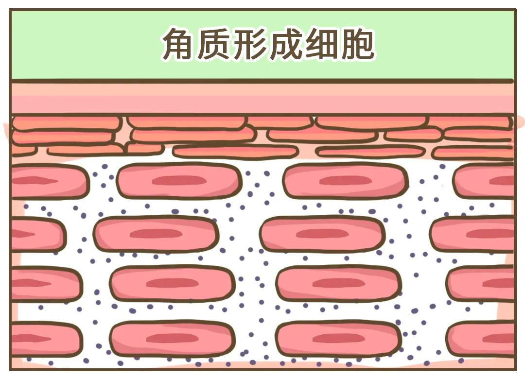 冬天为什么会有头皮屑,为什么头皮屑越挠越多