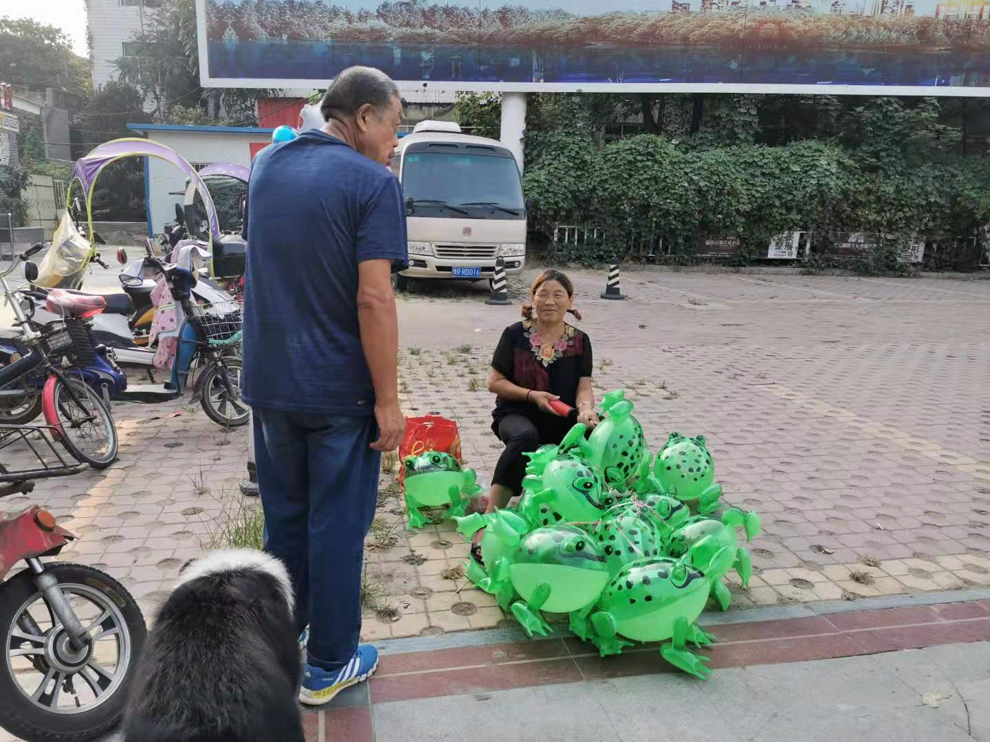 农村阿姨进城卖青蛙,供孙子上大学