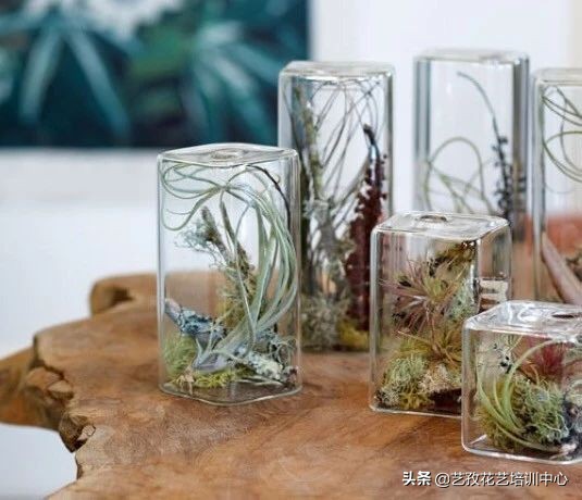 开一家花店怎么营销才能赚钱,花店做批发零售怎样进货