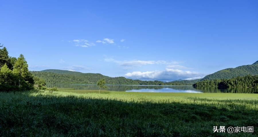 家电巨头纷纷股权激励员工,海尔美的长虹再抢占智能家居赛道