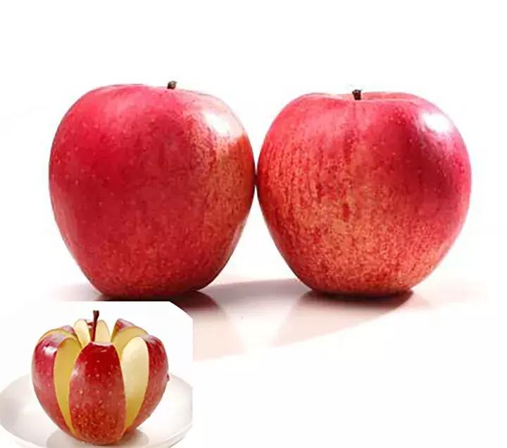 吃了这么多年的苹果竟然吃错了,好吃的苹果都有哪些品种