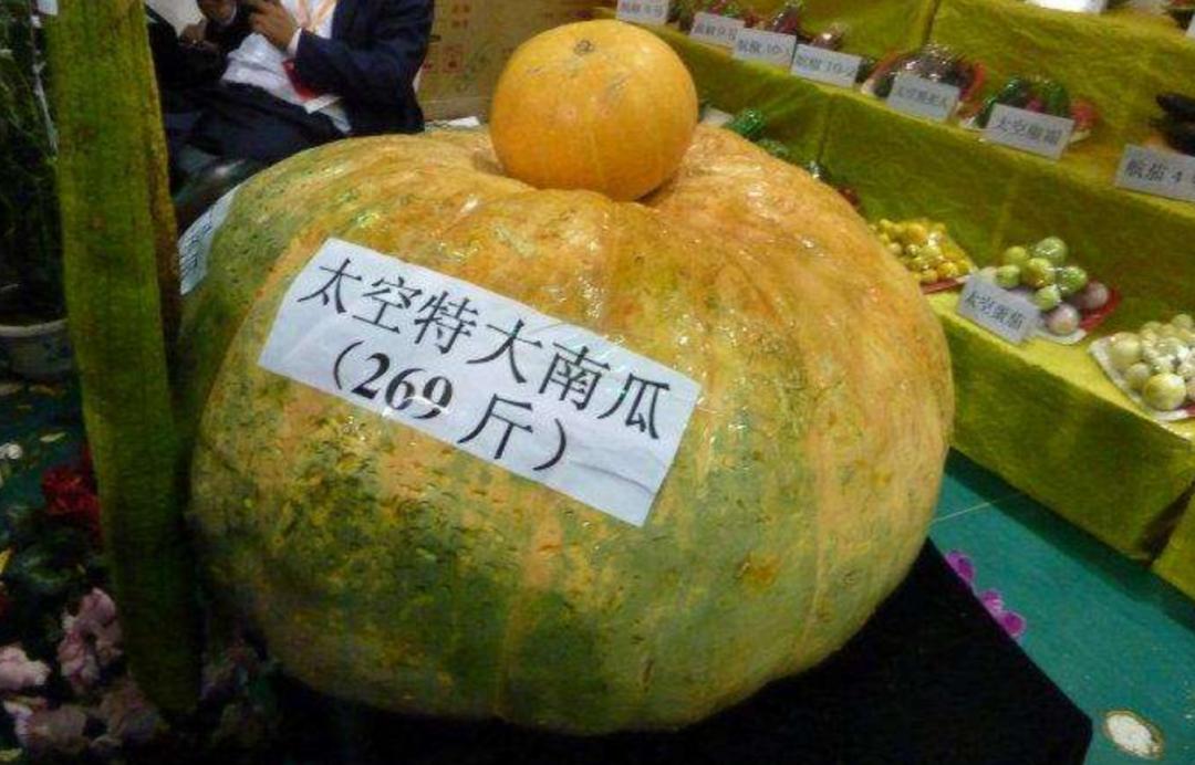 到山东不会饿着你,到山东怎么能不吃煎饼和大馒头呢