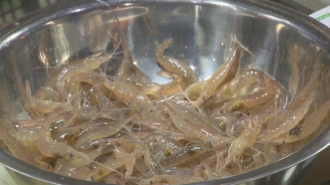 河虾什么时候上市,河虾一般多久能上市