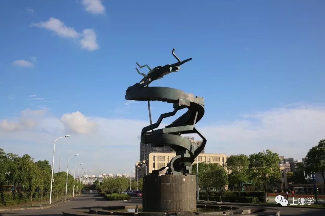 上海最好的十大民办初中,上海各区的顶级初中和一流初中