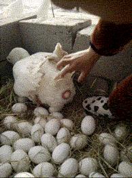 你不知道生孩子有多么疼吗,根本不知道生孩子的意义是什么