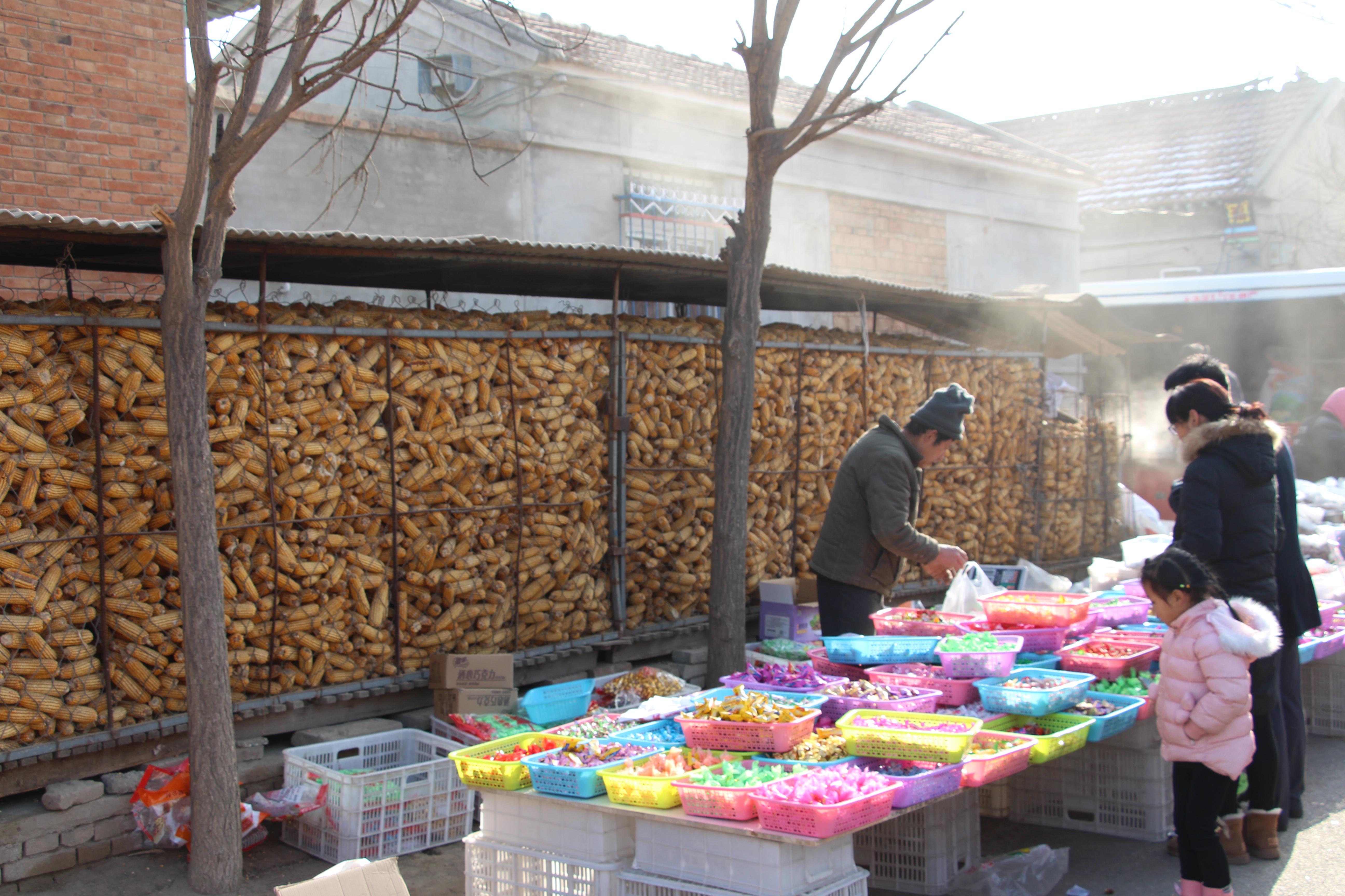 天津市武清区泗村店镇太子务村赶大集