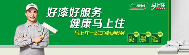 乳胶漆十大品牌多少钱一桶,美时丽乳胶漆十大品牌排名