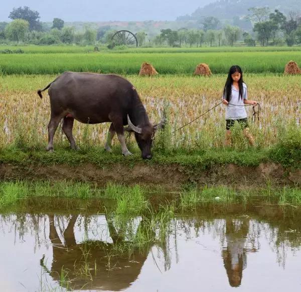 人越老越喜欢回忆过去,人一旦老了就特别爱回忆