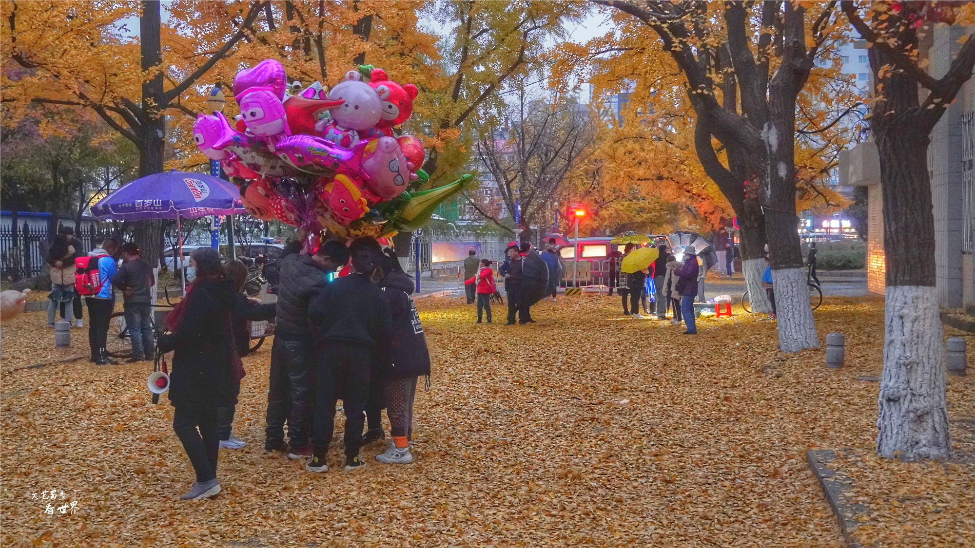 东北十佳宜居城市简介,东北最宜居的省