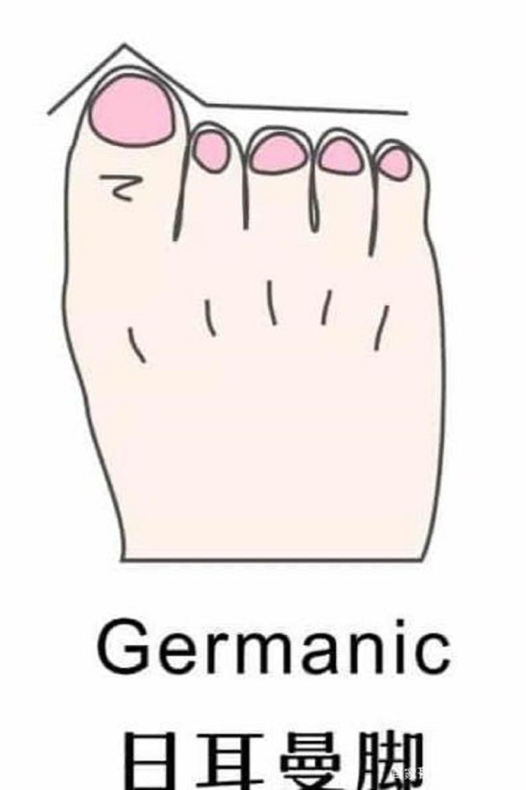 女性脚型有几种,女性脚型有哪几种