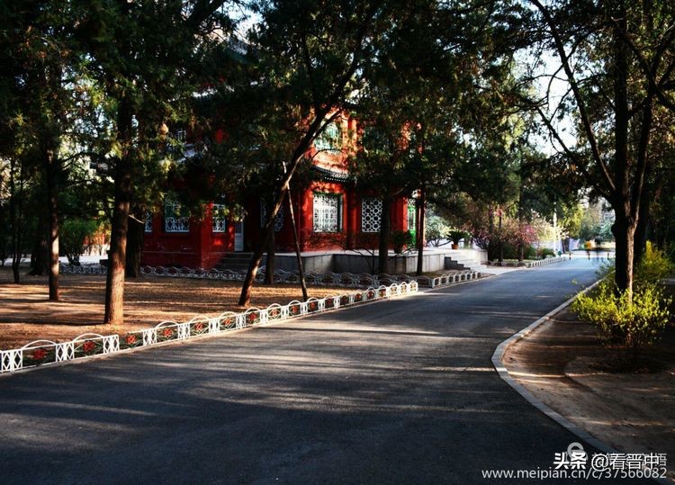 山西农大美丽的校园,山西农大校园风光