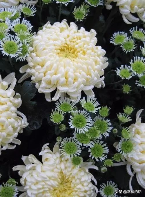 不生气歌儿歌,不生气的消气歌