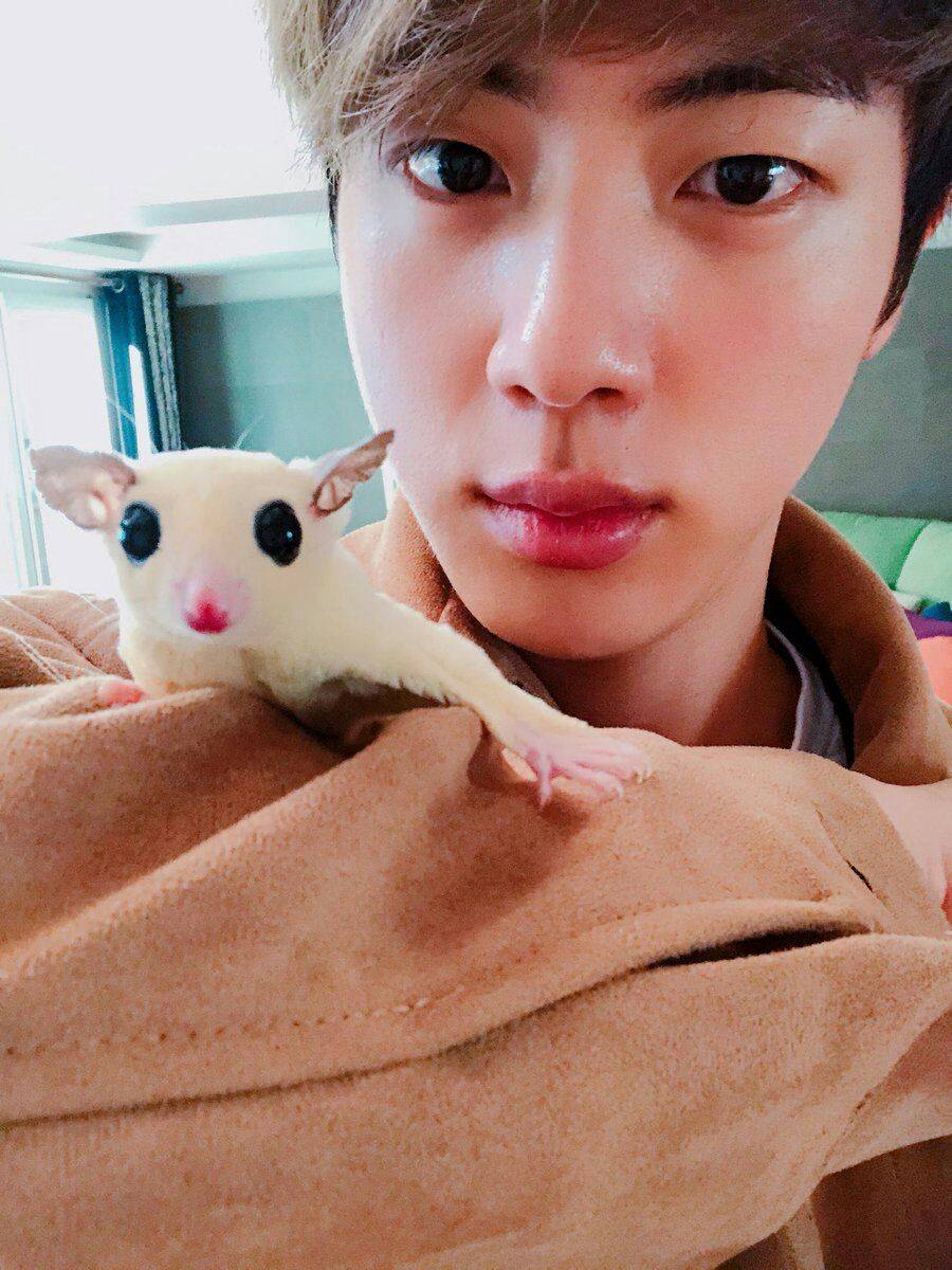 忙内组金硕珍 (金硕珍和忙内)