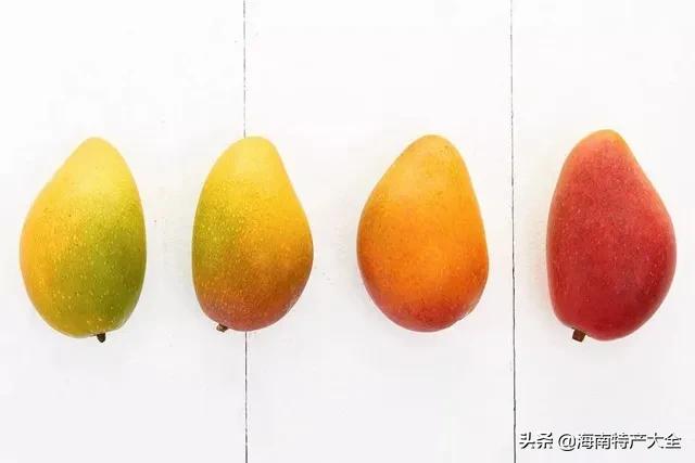 海南树上熟贵妃芒5斤,树上熟的贵妃芒真的假的