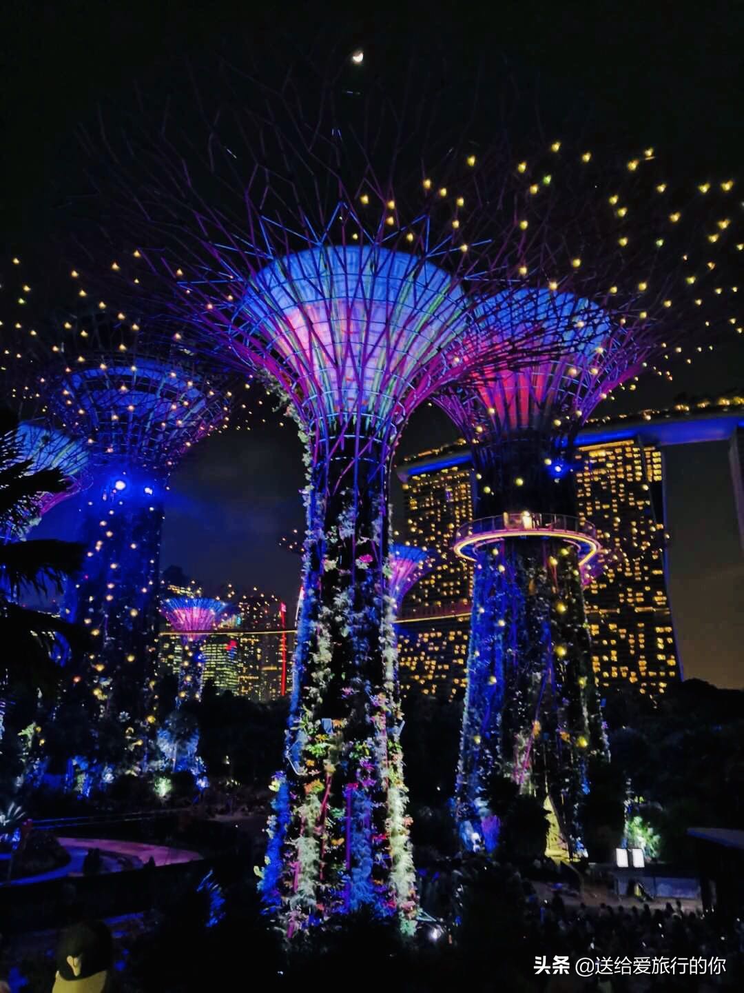 旅居新加坡的华人,旅居海外的华人