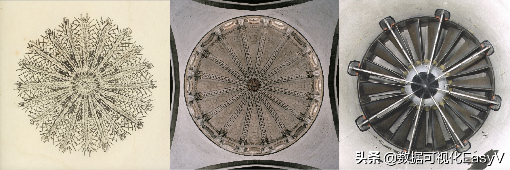 用历史和进化的观点来解释为什么人类喜欢用“饼图”来分析数据