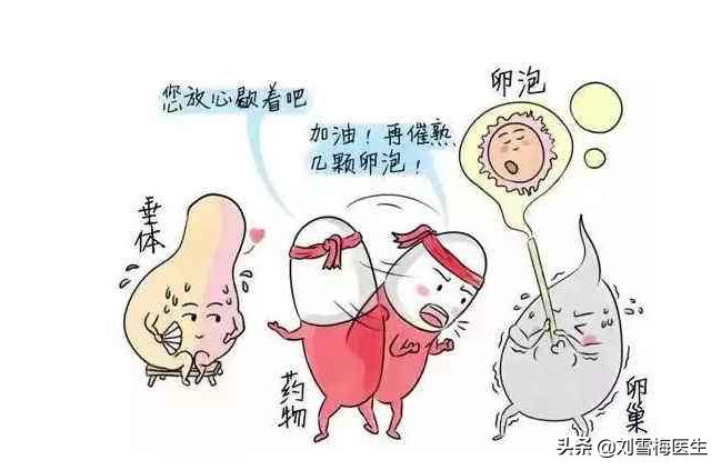 排卵试纸怎样能看出排卵,排卵试纸怎么使用和怎么看