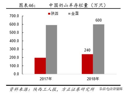 23年母婴行业上半年分析,关于母婴店的投资价值与成本