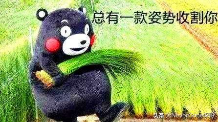 四大工装靴品牌,不同价位工装靴推荐