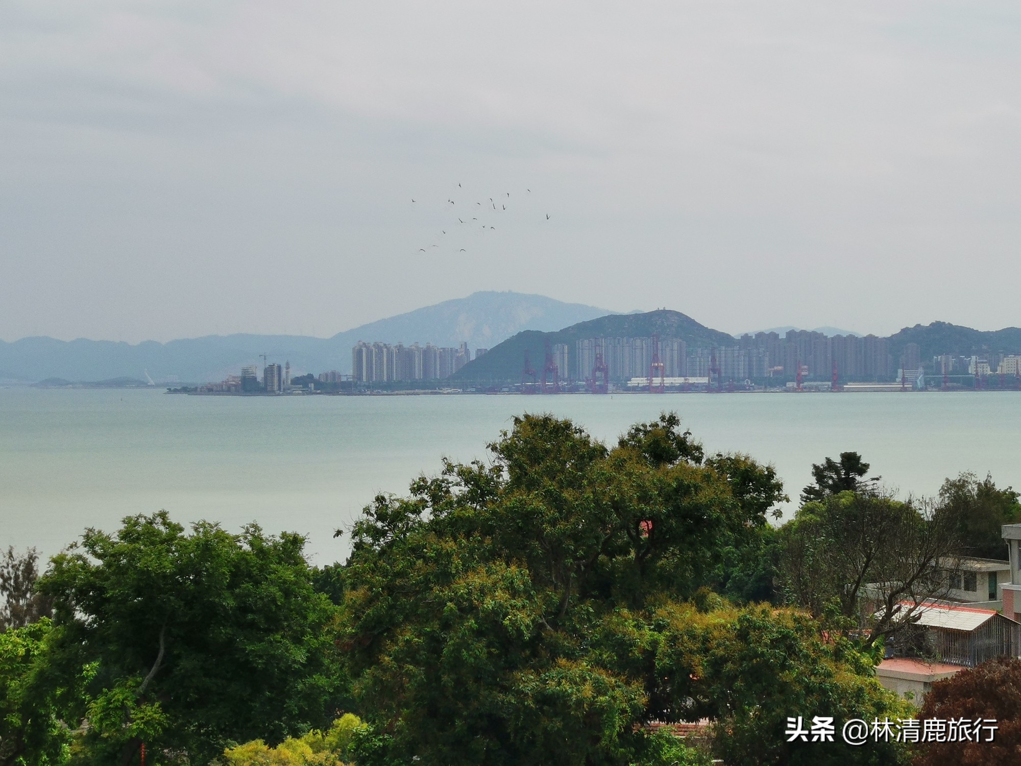 鼓浪屿最值得去的一个地方,为什么鼓浪屿那么有名气