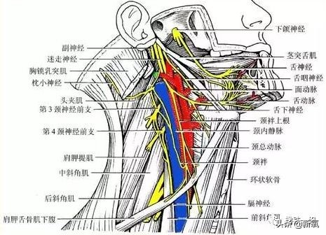 景甜减肥成功变回黑长直女神,景甜暴瘦