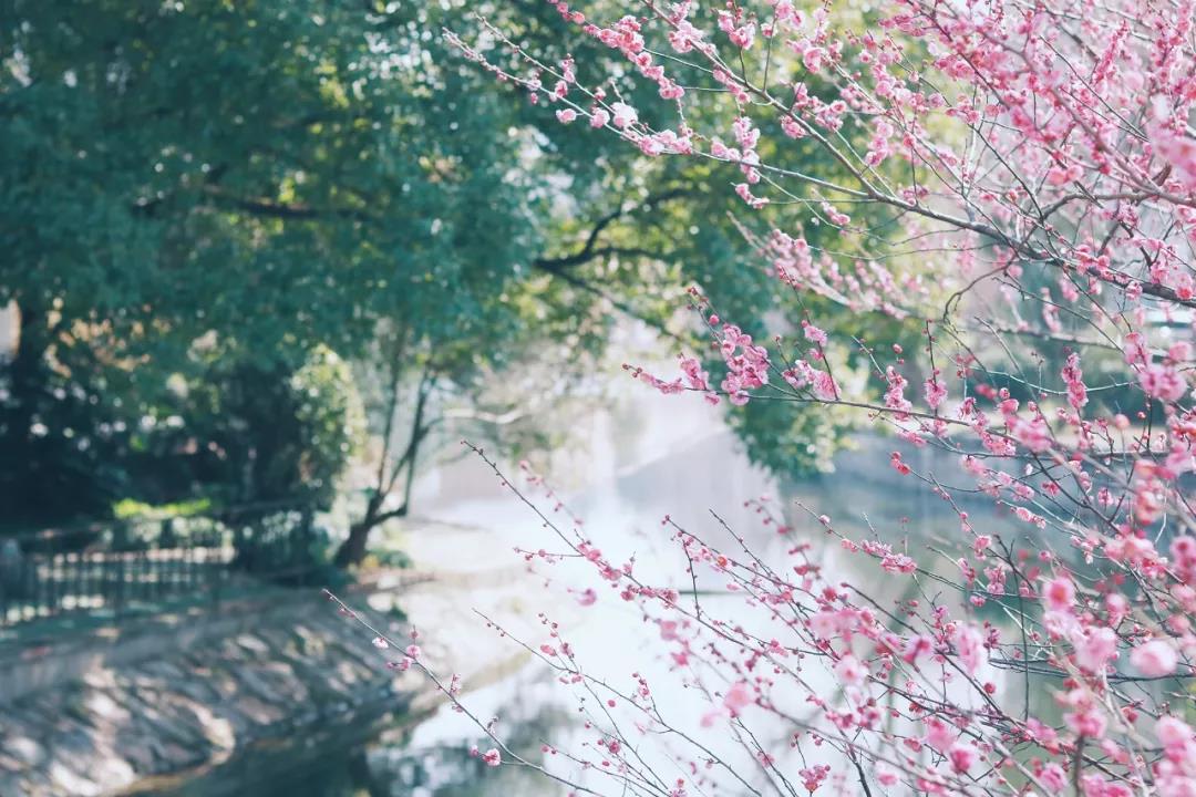 华东师范大学的计算机科学,华东师范大学的计算机科学与技术