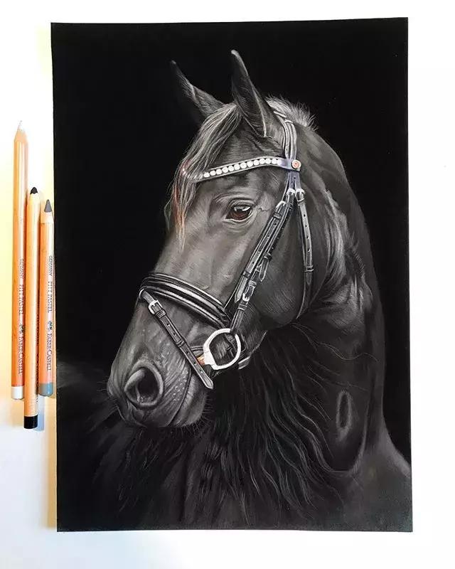 彩铅不会涂色怎么办,彩铅绘画干货