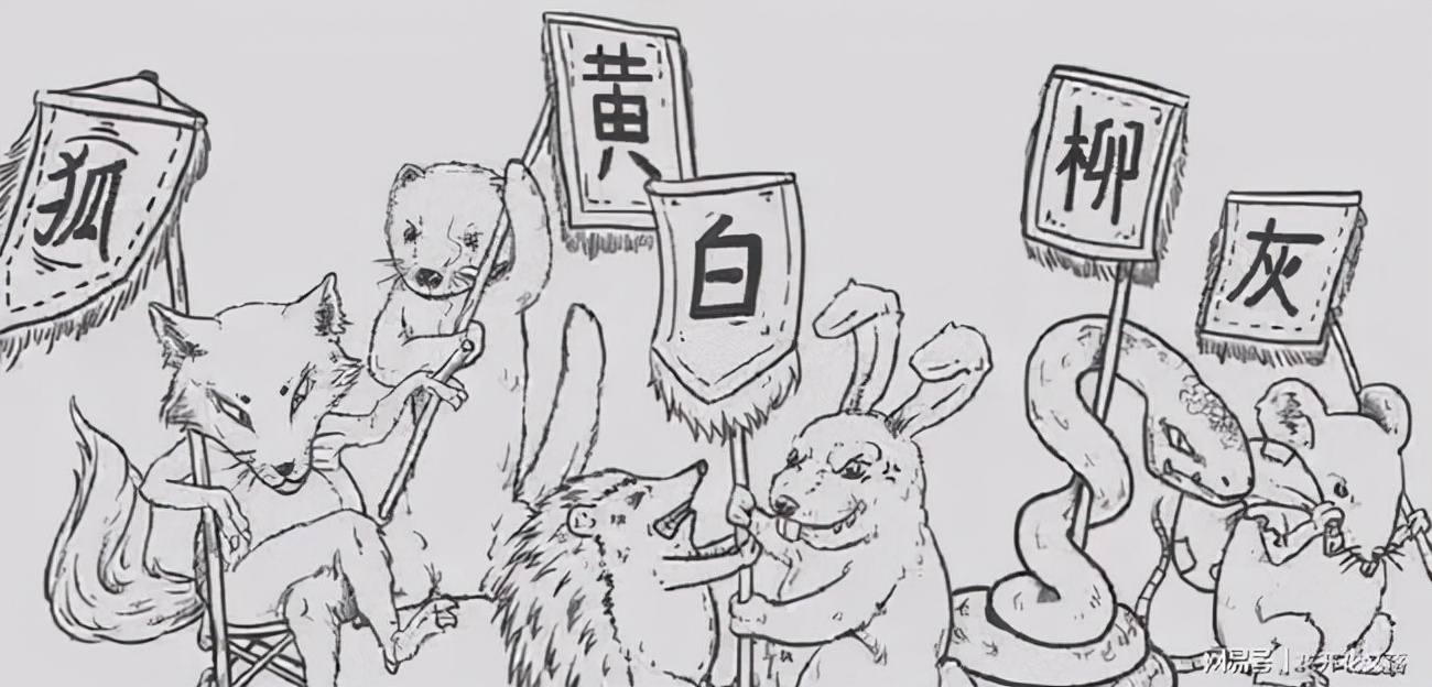 安徽一药店闯进黄鼠狼，民警惨遭臭屁攻击，黄鼠狼的屁有害吗？