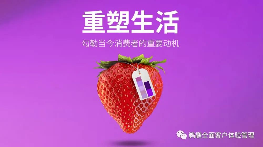 埃森哲消费者洞察,埃森哲消费者洞察报告