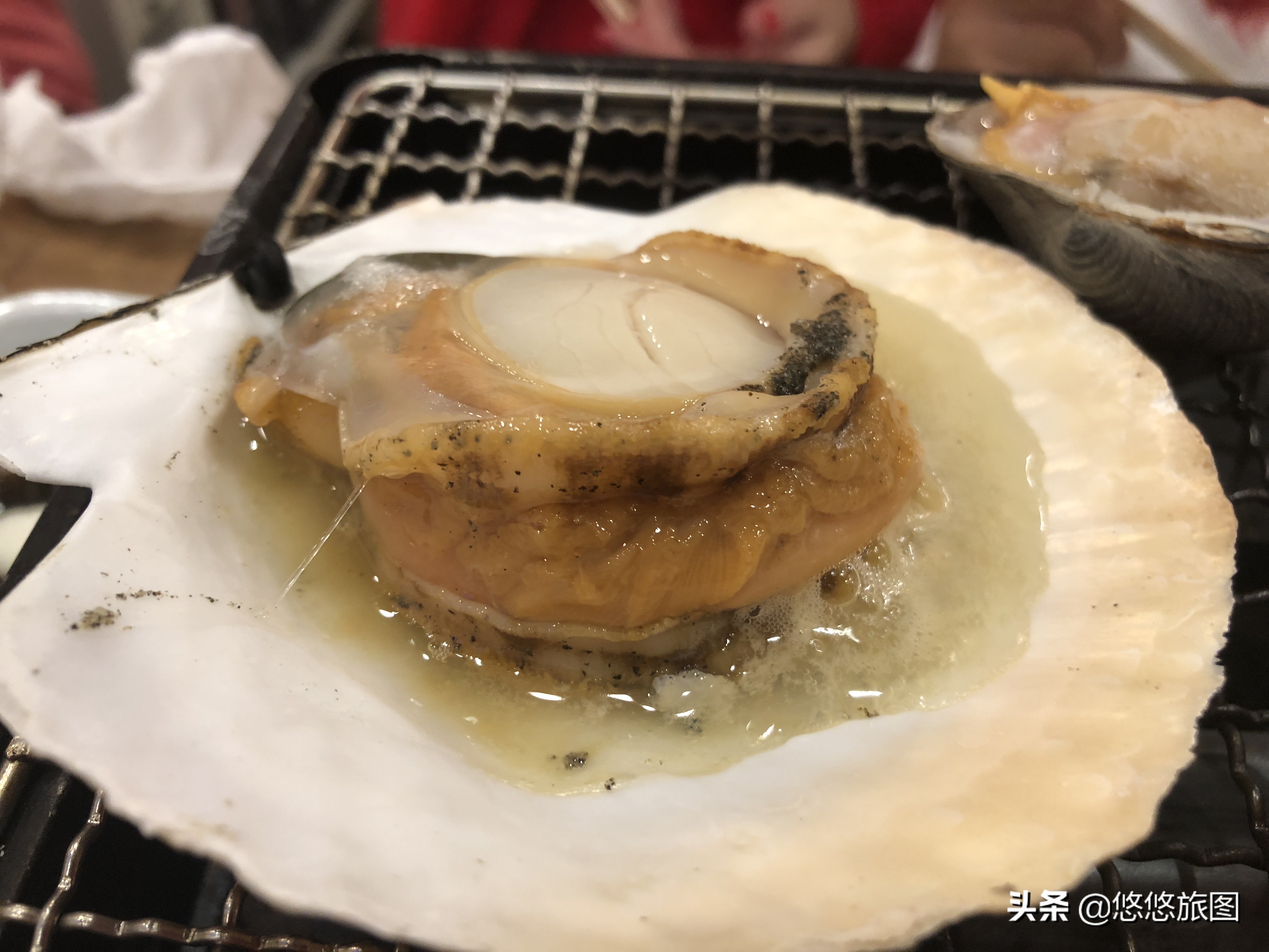 名古屋到白川乡两日游,名古屋之旅全集视频