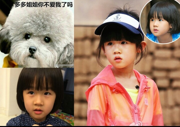 黄渤与孙红雷与动物撞脸瞬间,盘点明星撞脸黄渤