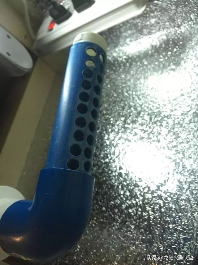 垃圾桶旁边的四方鱼缸,捡回去养了一缸金鱼,别说还挺不错