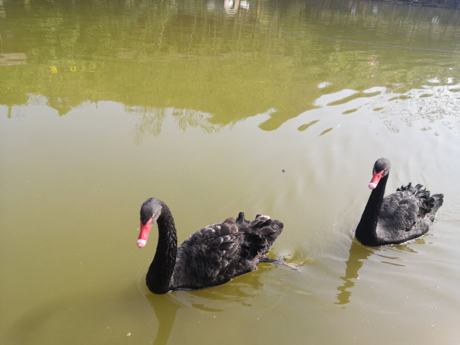 成都周边休闲圣地推荐,成都附近游玩推荐一日游