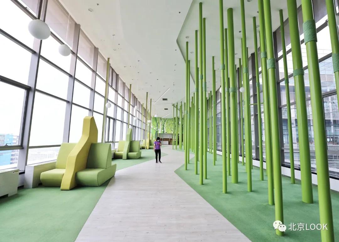 别人家的公司,别人家的公司还招人吗