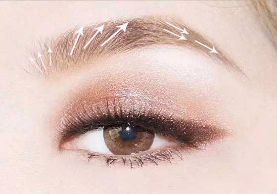 眉形种类和面相,眉形决定什么样的性格