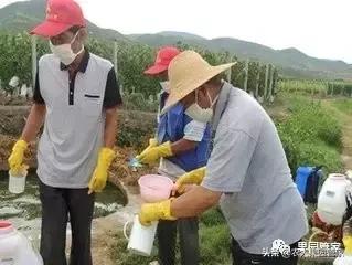 果园用药误区都有哪些,果园用药存在的问题及建议