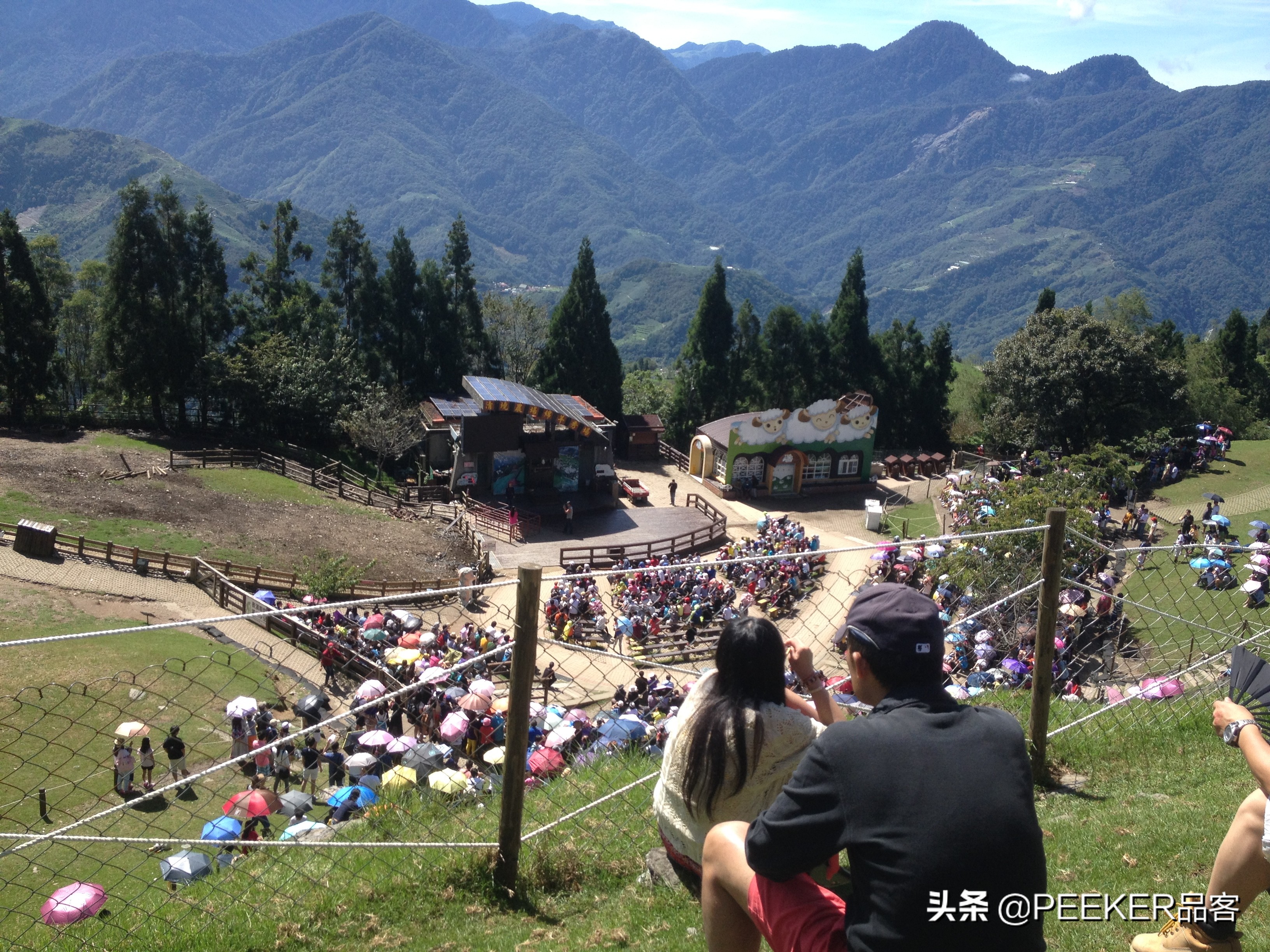 90年代东北台湾交换生,台湾惊呆上海交换生