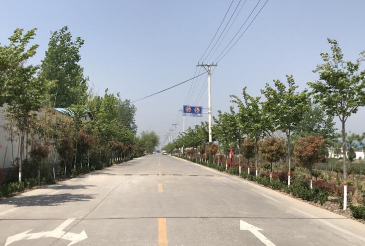 缇庝附涔℃剚缁垮寲缇庡寲,缇庝附涔℃剚涔℃潙缁垮寲瑙嗛